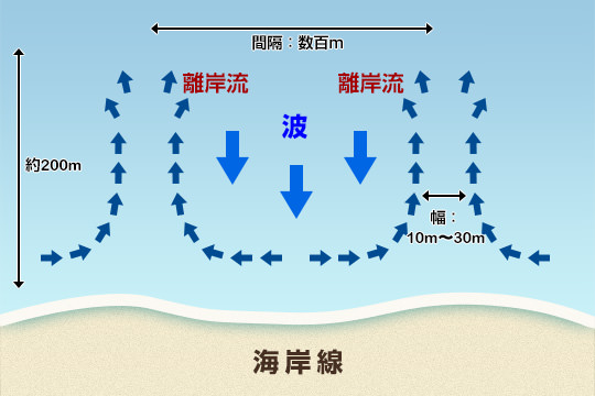 離岸流は、幅が10から30メートル、距離が約200メートルあります。離岸流と離岸流との間は、約数百メートルになります。