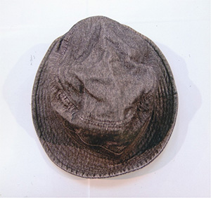 灰色帽子上部の写真
