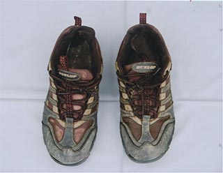 運動靴（茶色・26.0センチメートル）の写真