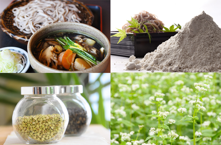 旬のうまいもの特集_常陸秋そば