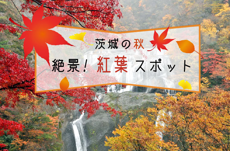茨城の秋_絶景！紅葉スポット