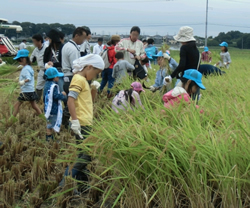 写真：子供たちと一緒に稲刈り体験イベントの様子
