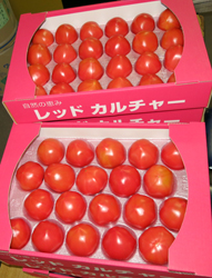 写真：ブランド名「レッドカルチャー」のトマトの箱詰め