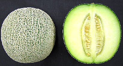 写真:「イバラキング」の果実と半分に切った状態の「イバラキング」