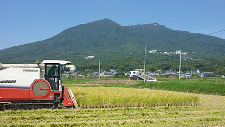 写真：コンバインが稲を収穫しています。