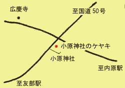 小原神社のケヤキへの地図