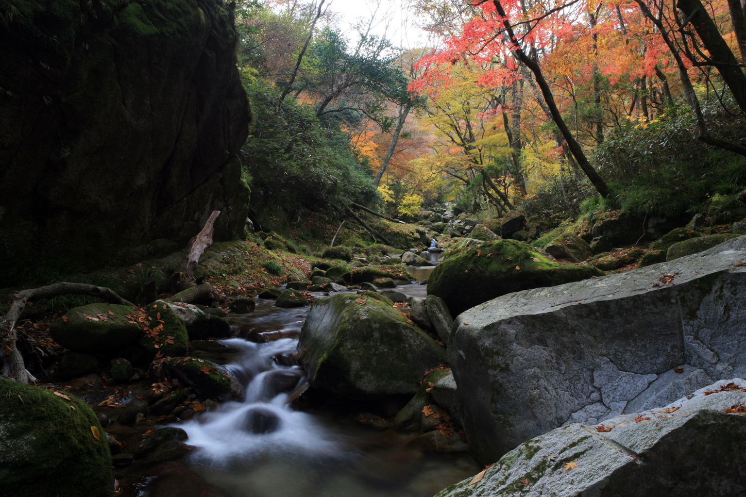 秋 花貫渓谷 高萩市 茨城県