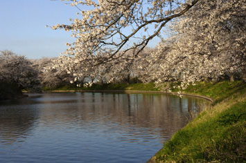 福岡堰