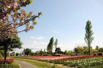 和田公園