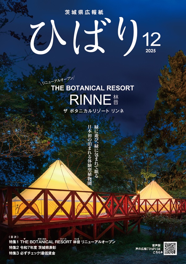 ひばり12月号表紙