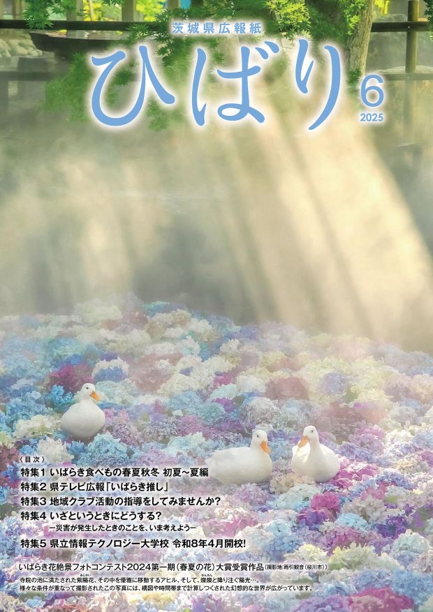 ひばり6月号表紙