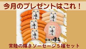 ひばり7月号プレ