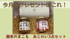 まこもだけプレ