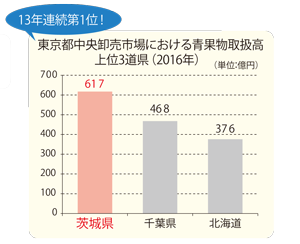 東京都中央卸売市場における青果物取扱高上位3道県（2016年）のグラフ