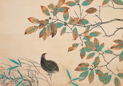 横山大観「鶉」