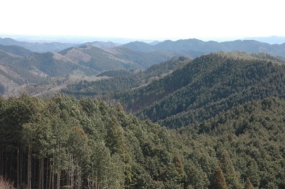 山の写真