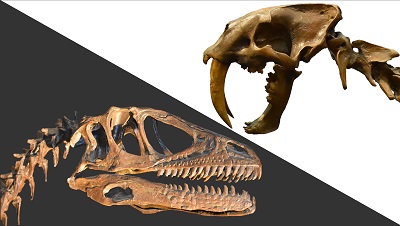 デイノニクス（左）とサーベルタイガー（右）