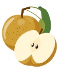 梨のイラスト