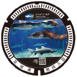 水族館マンホール蓋　差替え