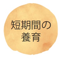 短期間の養育