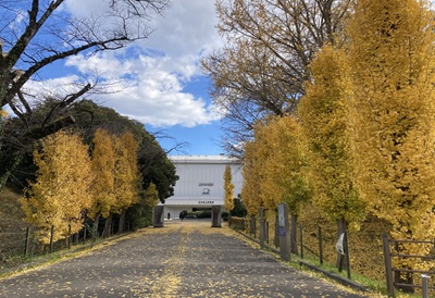 県立図書館