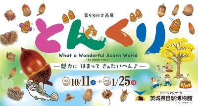 展「どんぐり-魅力に はまって さぁたいへん♪-」