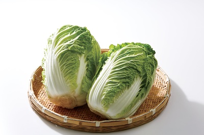 白菜