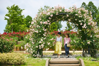 フラワーパーク