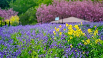 フラワーパーク