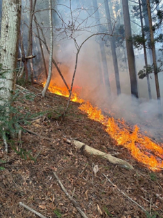 林野火災