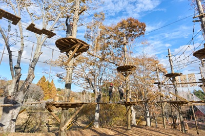 THE BOTANICAL RESORT 林音