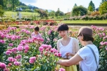フラワーパーク
