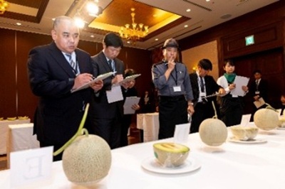 メロンコンテスト