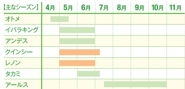 メロンカレンダー