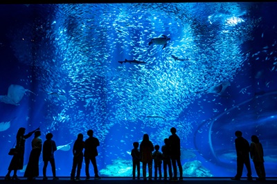 大洗水族館