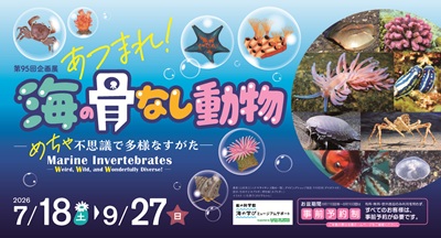 あつまれ!海の骨なし動物