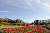 木原城址