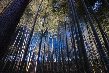 悠久と隈怖