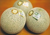 JA茨城旭村プレミアムメロン(極)