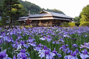 西山の里桃源