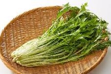 みず菜