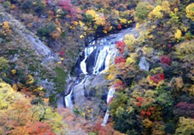 袋田の滝の紅葉