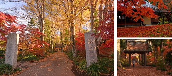 最勝寺の紅葉