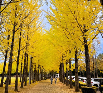 科学万博記念公園の紅葉01