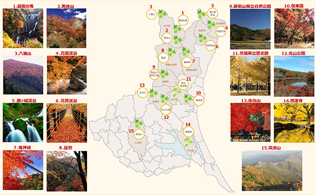 茨城県内の紅葉スポット