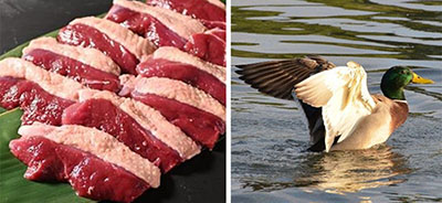 常陸国天然まがも01