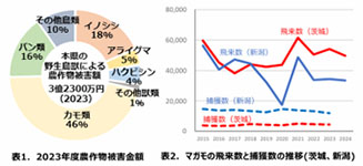 常陸国天然まがも02