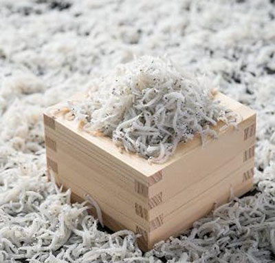 常陸乃国しらす01