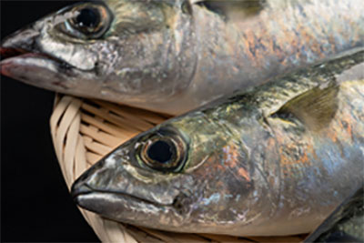 常陸乃国まさば01