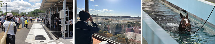 日本中央競馬会美浦トレーニング・センター02